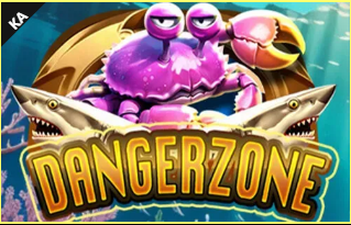Danger Zone