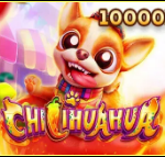 《CHILIHUAHUA》FC slot machine game detailed introduction