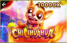 《CHILIHUAHUA》FC slot machine game detailed introduction