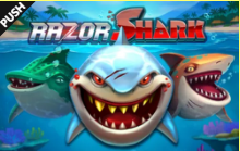 《Razor Shark》PUSH slot machine game detailed introduction