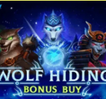 《Wolf Hiding Bonus Buy》EVOPLAY slot machine game detailed introduction