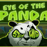 Eye of the Panda