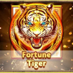 Fortune Tiger