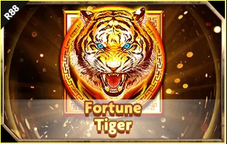 Fortune Tiger