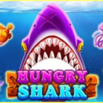 Hungry Shark