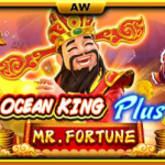Mr Fortune