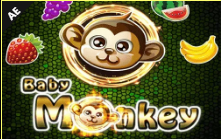 《Baby Monkey》AE slot machine game detailed introduction