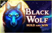 《Black Wolf》BNG slot machine game detailed introduction