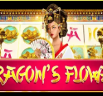 《Dragons Flower》MJ slot machine game detailed introduction
