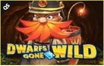 《Dwarfs Gone Wild》QS slot machine game detailed introduction