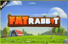 《Fat Rabbit》PUSH slot machine game detailed introduction
