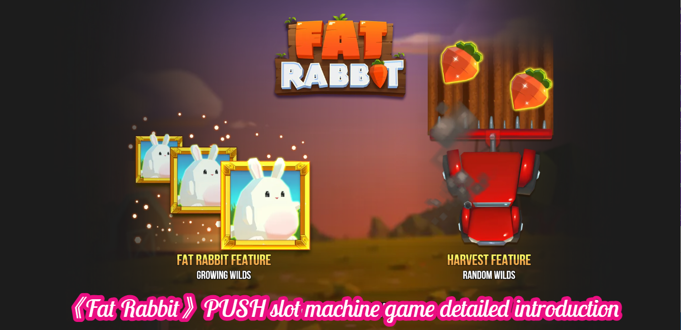 《Fat Rabbit》PUSH slot machine game detailed introduction