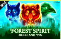 《Forest Spirit》BNG slot machine game detailed introduction