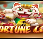 《Fortune Cat》MT slot machine game detailed introduction