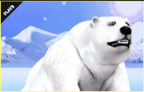 《Ice Land》PLAY8 slot machine game detailed introduction