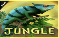《Jungle》PLAY8 slot machine game detailed introduction