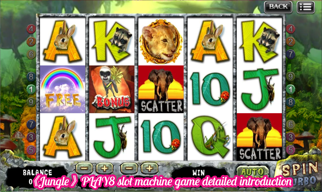 《Jungle》PLAY8 slot machine game detailed introduction