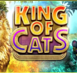 《King of Cats》BTG slot machine game detailed introduction