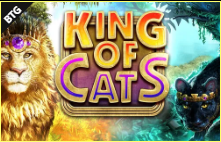 《King of Cats》BTG slot machine game detailed introduction