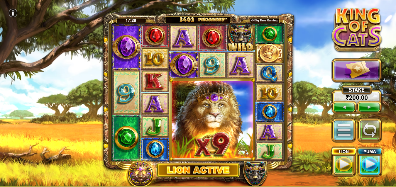《King of Cats》BTG slot machine game detailed introduction
