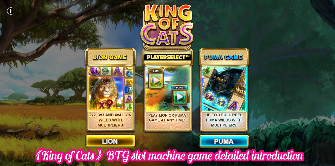 《King of Cats》BTG slot machine game detailed introduction