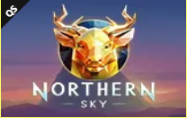 《Northern Sky》QS slot machine game detailed introduction