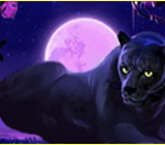 《Panther Moon》PLAY8 slot machine game detailed introduction