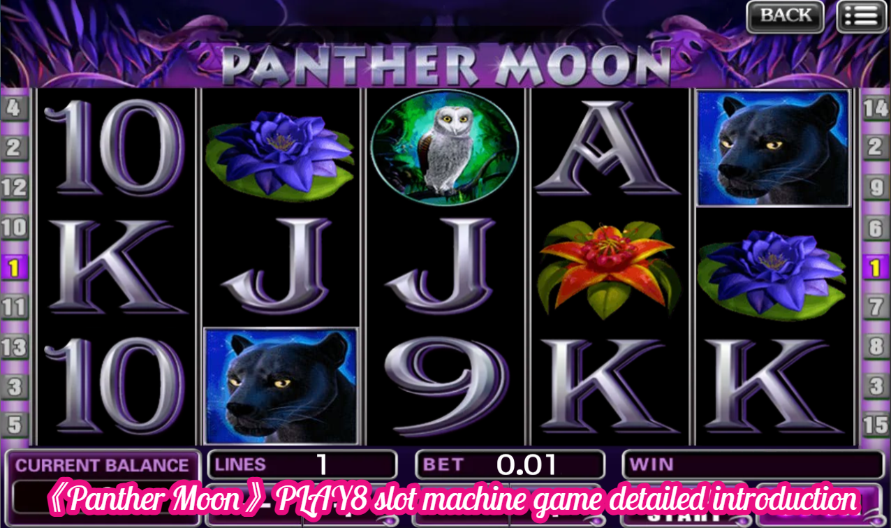 《Panther Moon》PLAY8 slot machine game detailed introduction