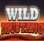 《Pick & Win Wild Mustang》ZITRO slot machine game detailed introduction