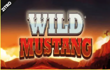 《Pick & Win Wild Mustang》ZITRO slot machine game detailed introduction