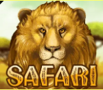 《Safari Slots》KA slot machine game detailed introduction