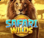 《Safari Wilds》PG slot machine game detailed introduction