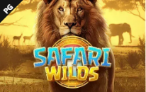 《Safari Wilds》PG slot machine game detailed introduction