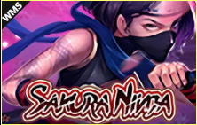 《Sakura》WMS slot machine game detailed introduction