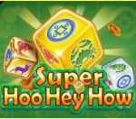 《Super Hoo Hey How》DS slot machine game detailed introduction