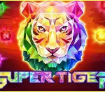 《Super Tiger》SW slot machine game detailed introduction