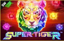 《Super Tiger》SW slot machine game detailed introduction