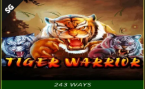 《Tiger Warrior》SG slot machine game detailed introduction