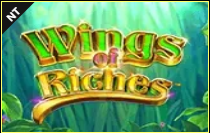 《Wings of Riches》NT slot machine game detailed introduction